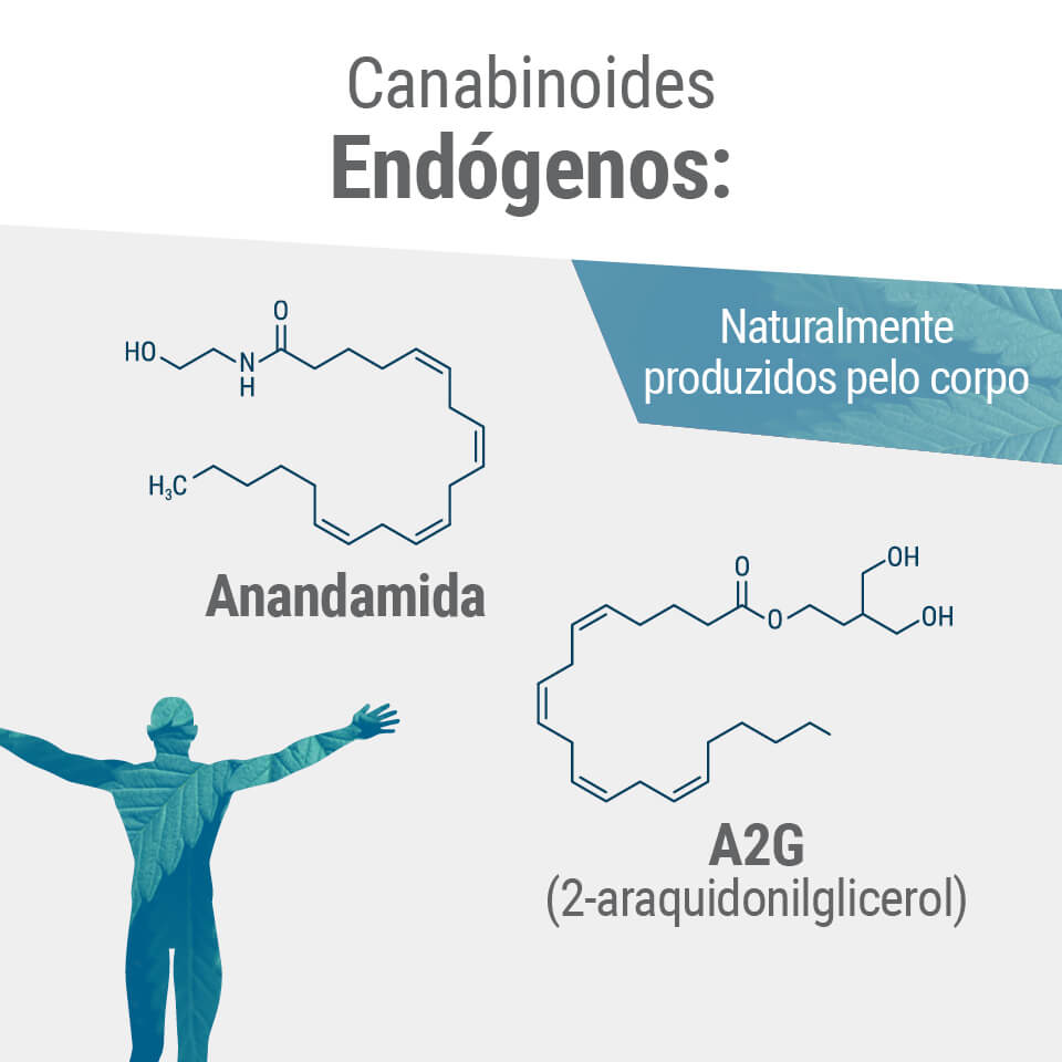 Estrutura de alguns dos endocanabinoides mais estudados. (A)