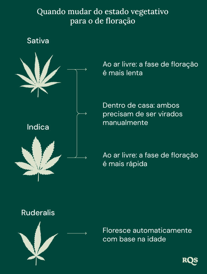 Switch ve to flowering